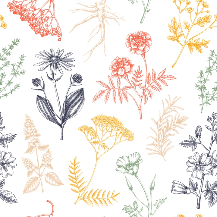 Apothecary plant background. Medicinal herbs seamless pattern. Herbal remedies, natural medicine, Healing plants sketches. Hand-drawn vector illustration.NOT AI genereted